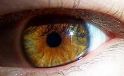 Fascinating Facts About Your Eyes Fascinating Facts About Your Eyes